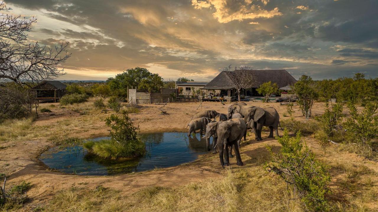 Imagine Africa Luxury Tented Camp Заповідник Балуле Екстер'єр фото