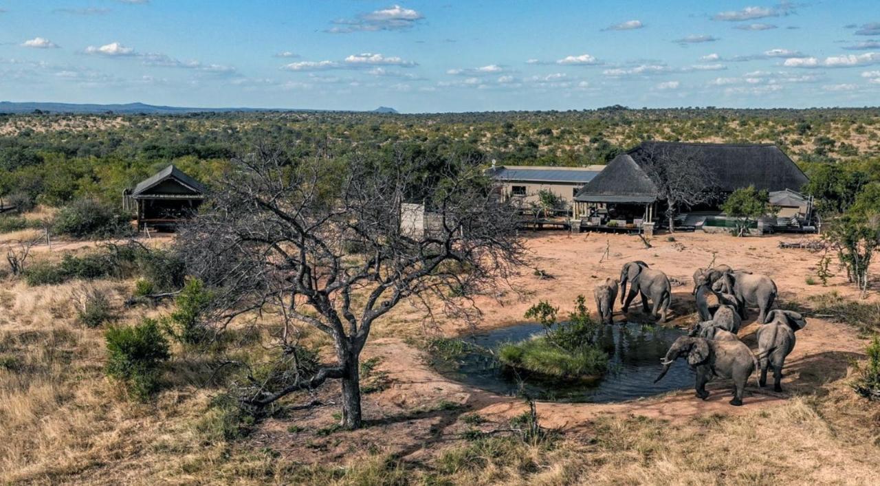 Imagine Africa Luxury Tented Camp Заповідник Балуле Екстер'єр фото