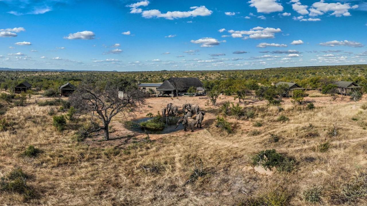 Imagine Africa Luxury Tented Camp Заповідник Балуле Екстер'єр фото